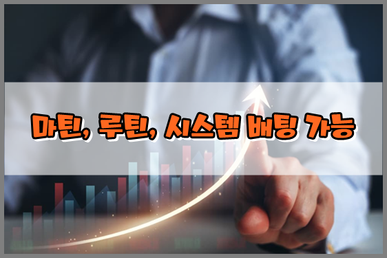 마틴 루틴 시스템 배팅